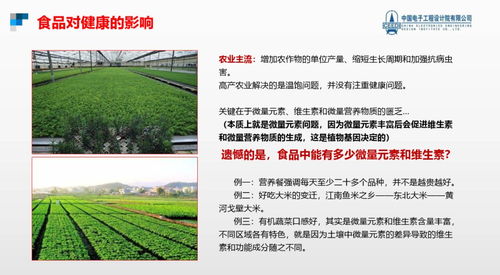 跨越隱形饑餓，點(diǎn)亮健康未來(lái) 硒鍶硅鋅營(yíng)養(yǎng)健康食品項(xiàng)目與生態(tài)旅游開發(fā)協(xié)同發(fā)展計(jì)劃